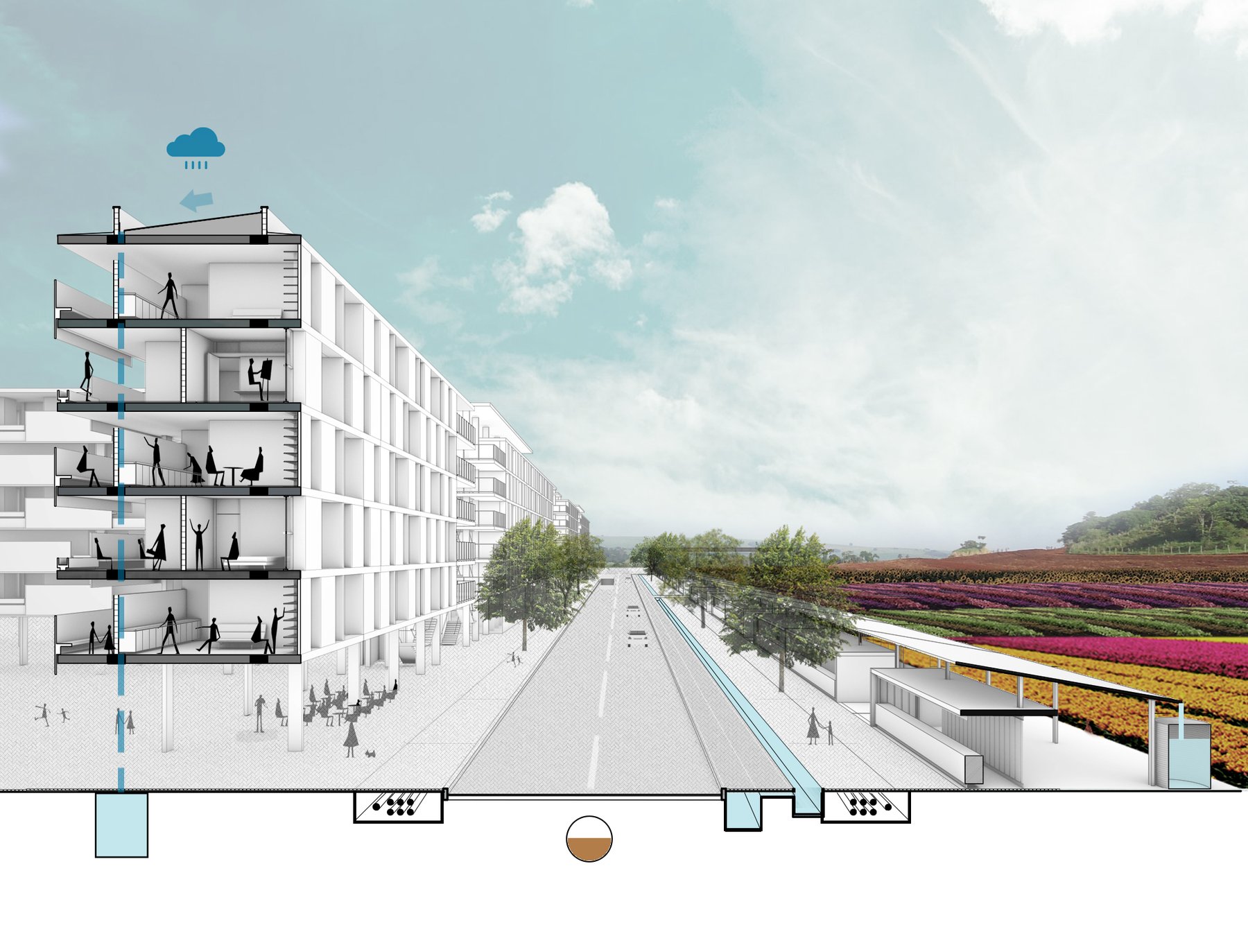 Ceilândia — building section