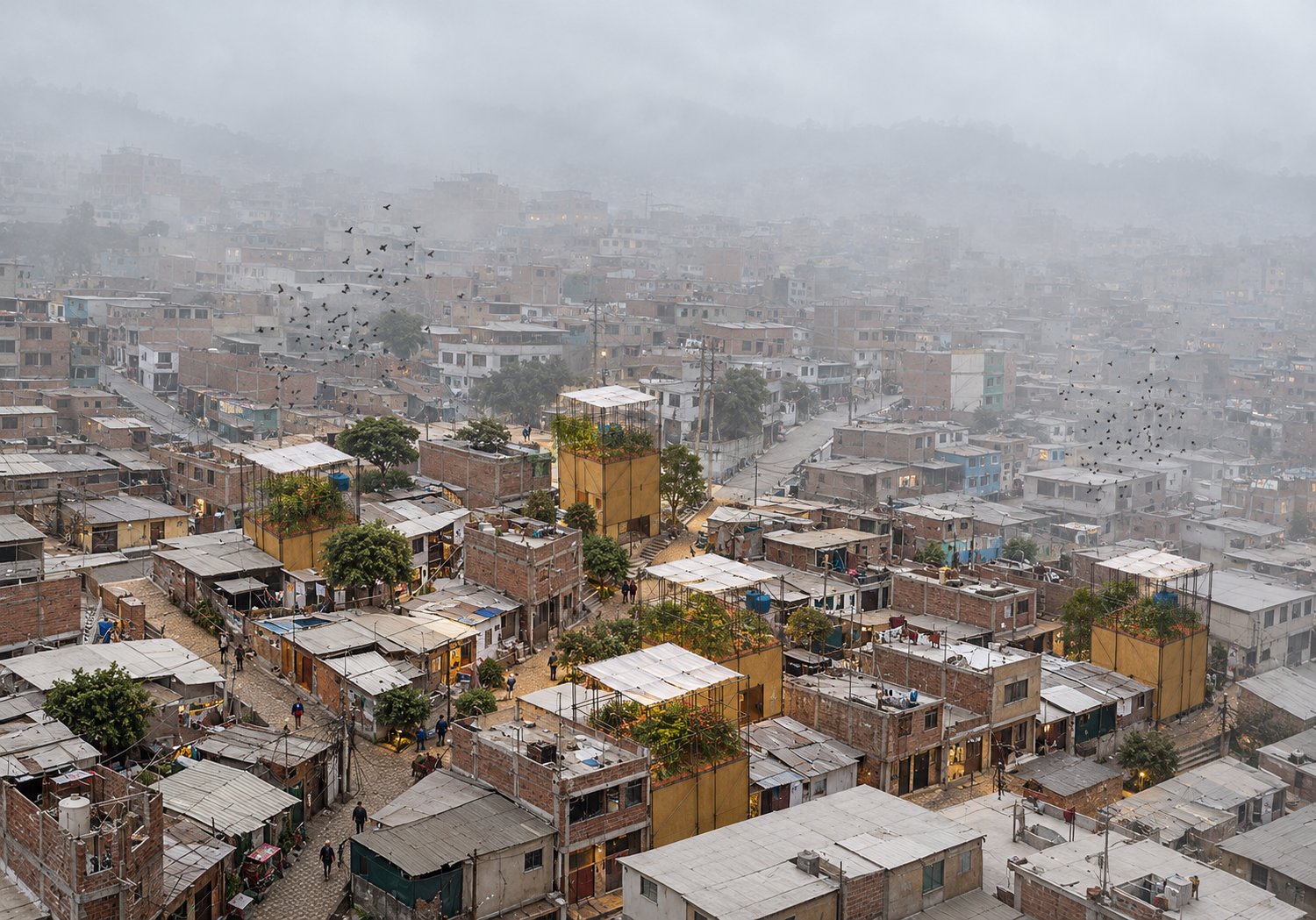MUTUO Lima — misty hillside context